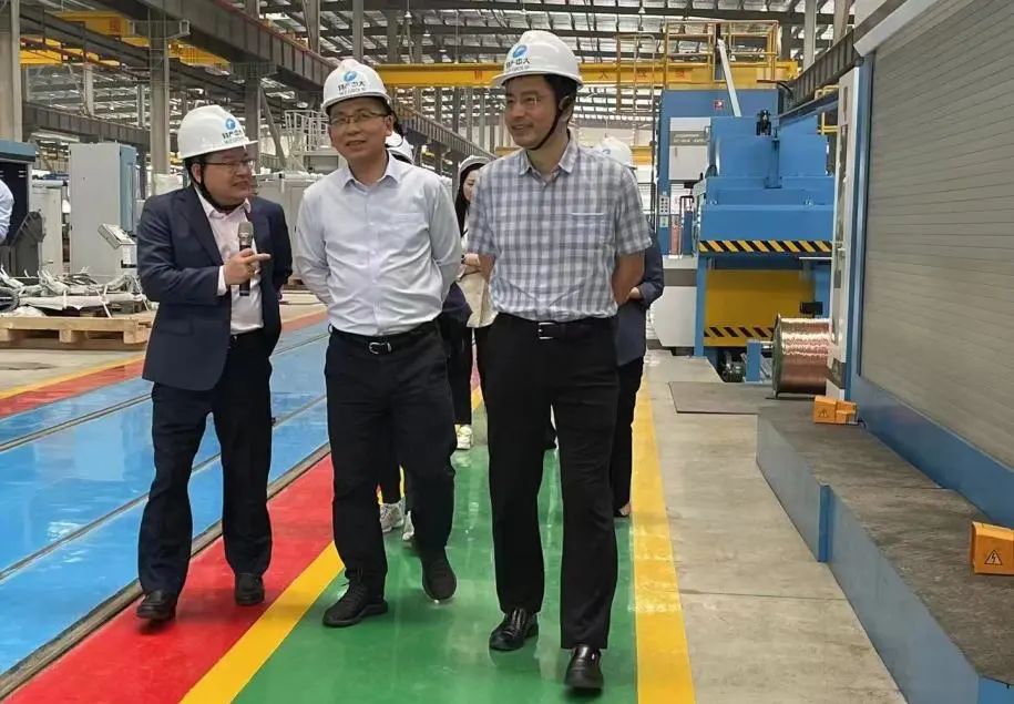 集團黨委委員、副總裁李剛蒞臨公司考察調研